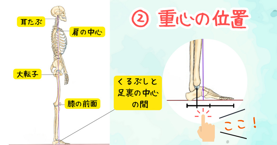 足裏、重心の位置