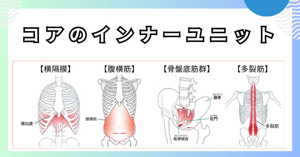 コアのインナーユニット４つの筋肉