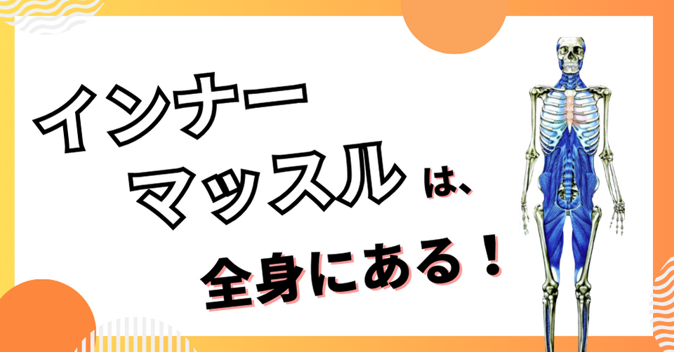 インナーマッスルは体幹だけじゃなく全身にある！