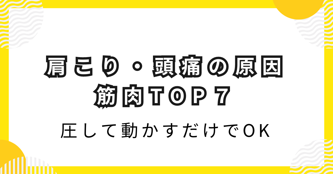 肩こり・頭痛の原因 筋肉TOP７