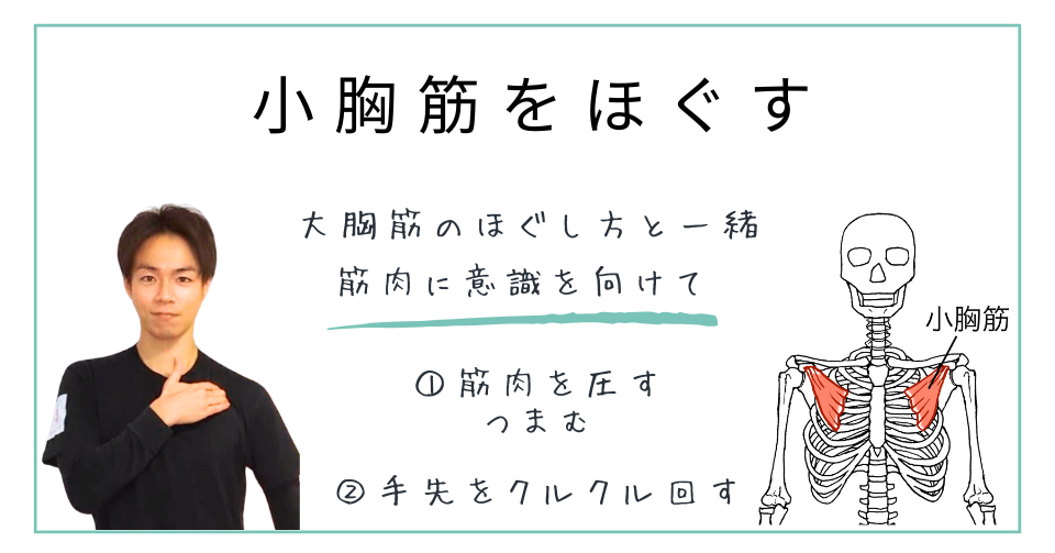 巻き肩の原因筋：小胸筋のほぐす方法