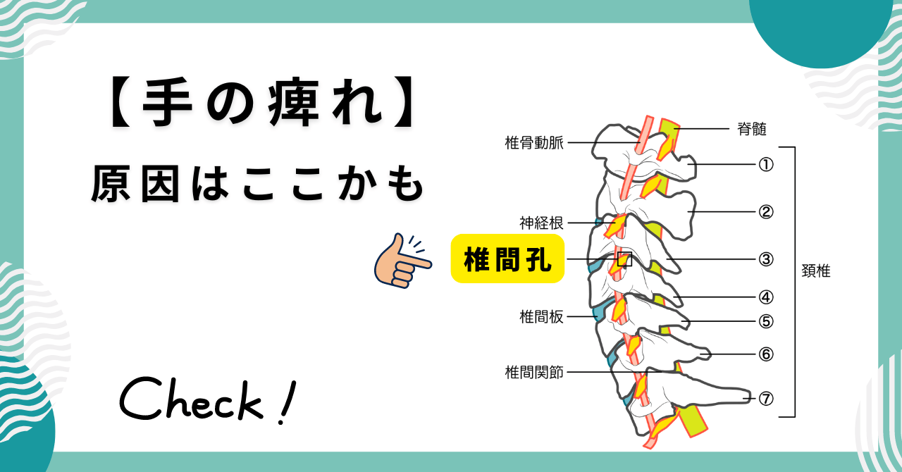 手の痺れの頚椎