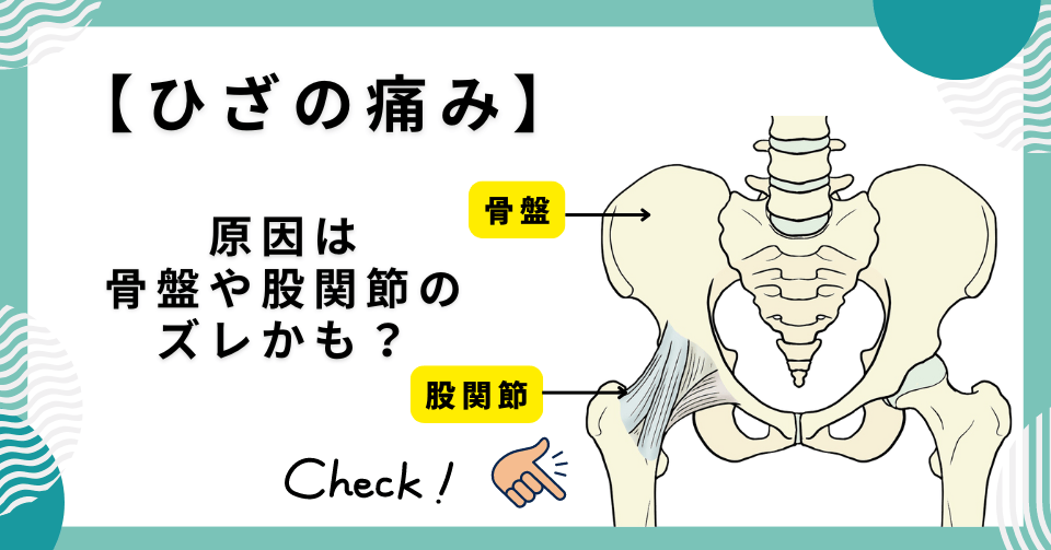 膝の痛みよ骨盤、股関節