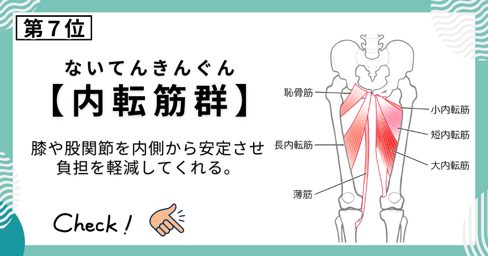 鍛えたいインナーマッスル7位：内転筋群（ないてんきんぐん）