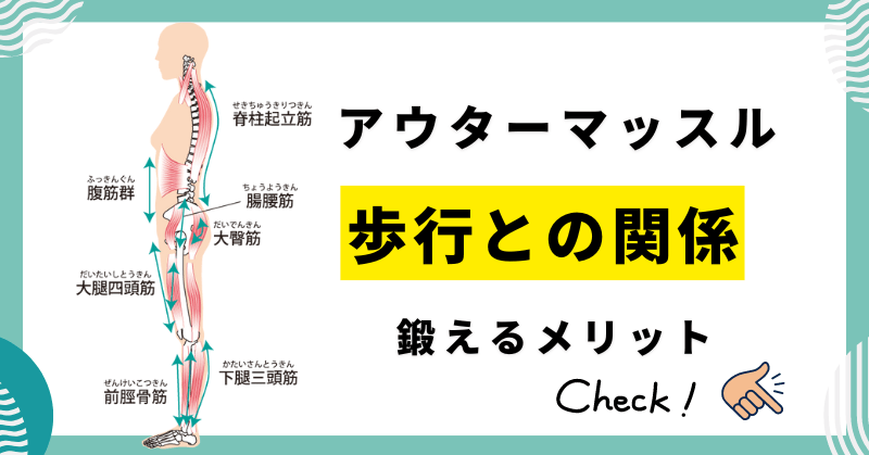 関節を動かすアウターマッスル　歩行のとの関係