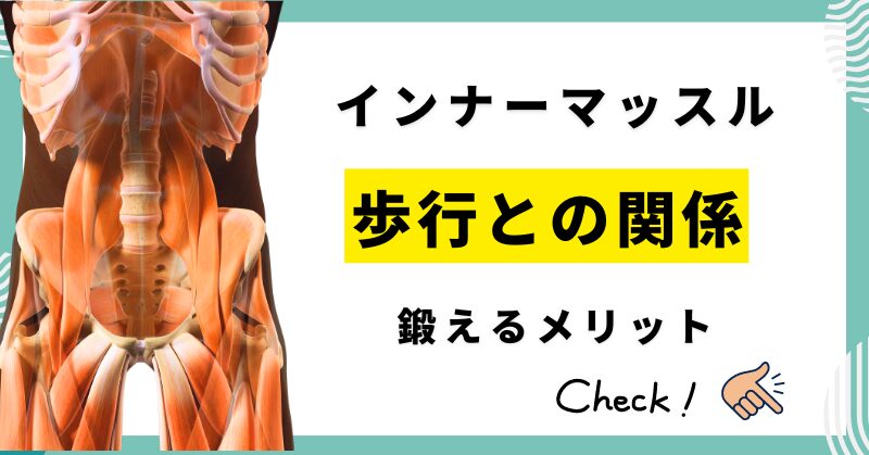 歩行に大切なインナーマッスルと歩行の関係　鍛えるメリット