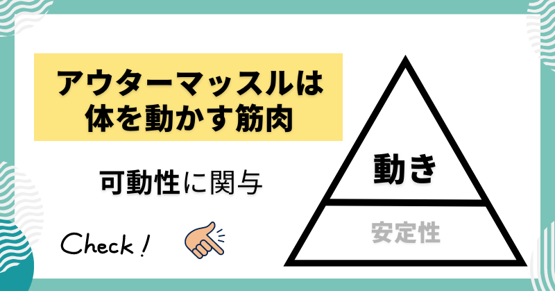 関節を動かすアウターマッスルは可動性に関与する