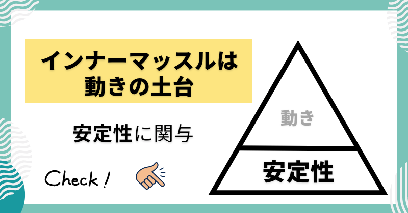 インナーマッスルはカラダの土台であり安定性を高める