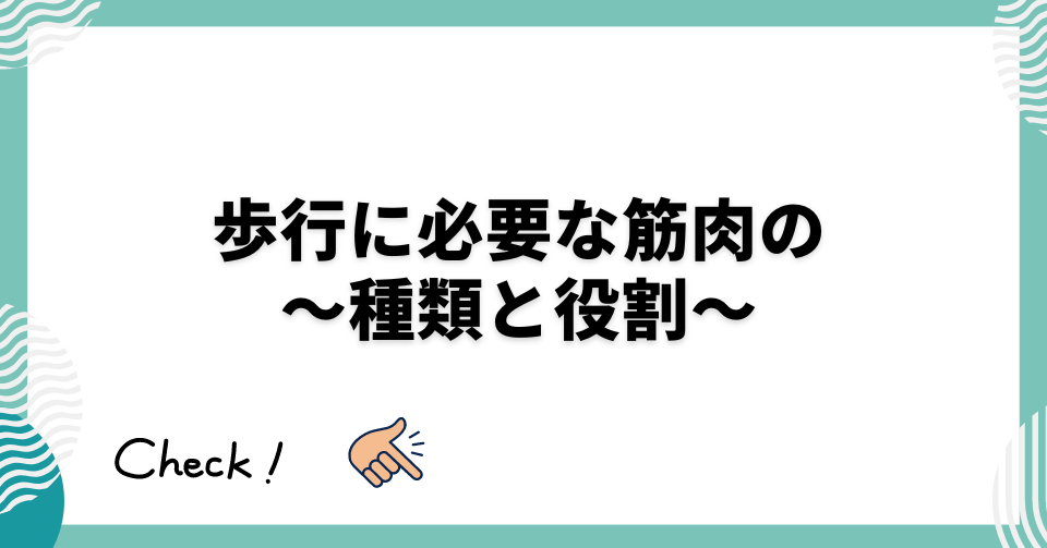 歩行に必要な筋肉の 〜種類と役割〜