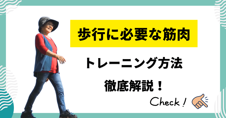 高齢者が知っておくべき！歩行に必要な筋肉と効果的なトレーニング法