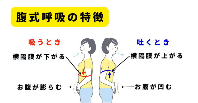 腹式呼吸の特徴